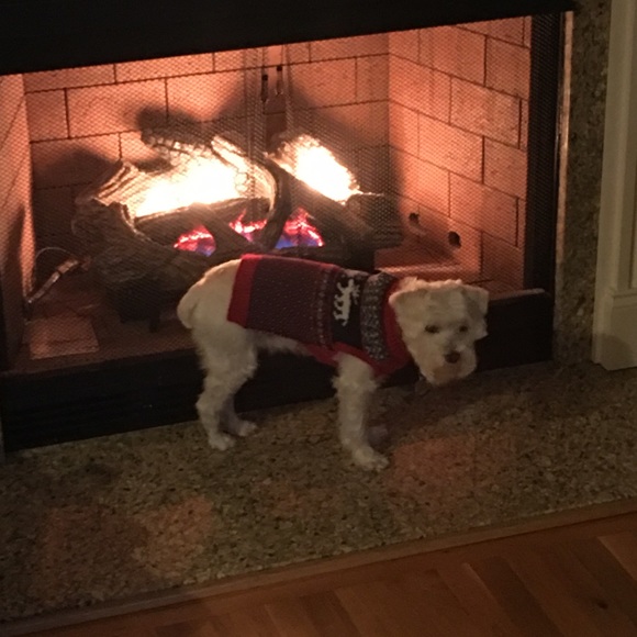 Meet your Posher, Laura - Picture 1 of 1